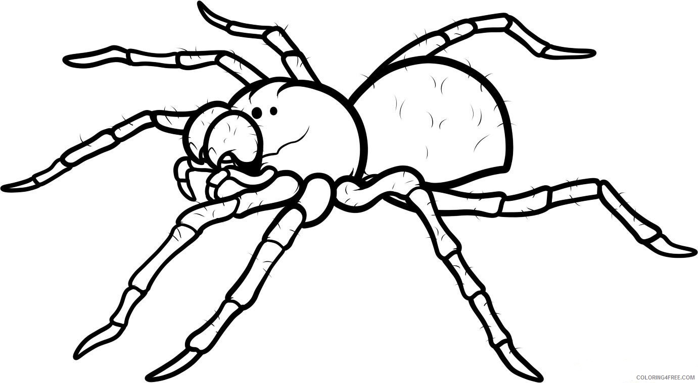 printable spider coloring pages Coloring4free
