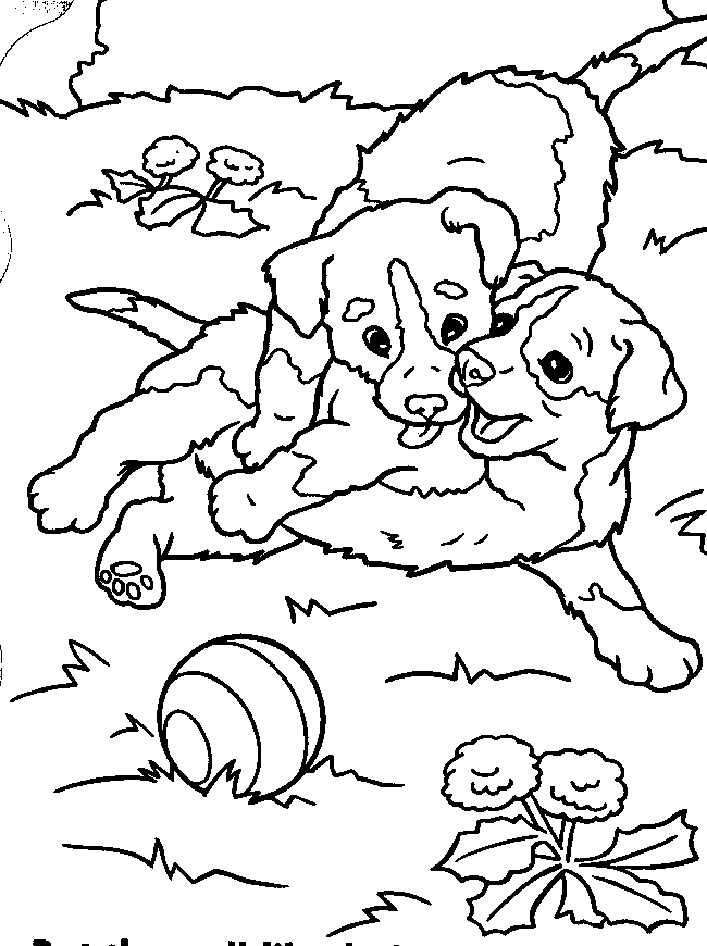 puppies coloring pages playing together Coloring4free