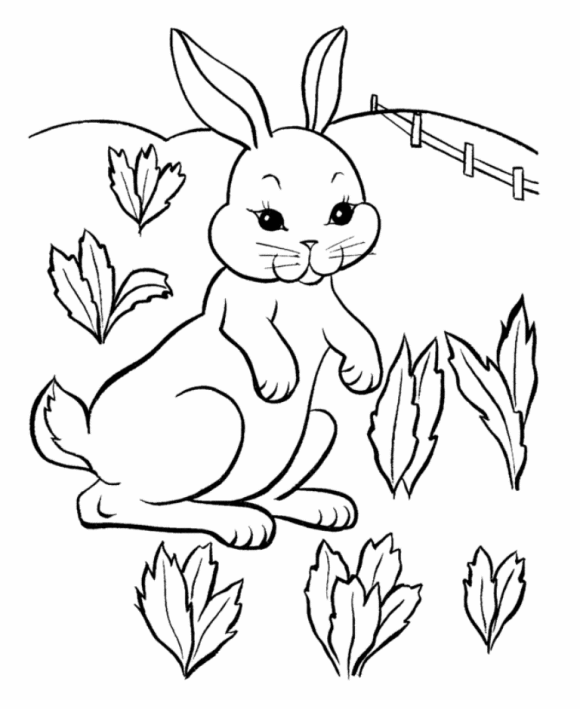 rabbit coloring pages in farm Coloring4free