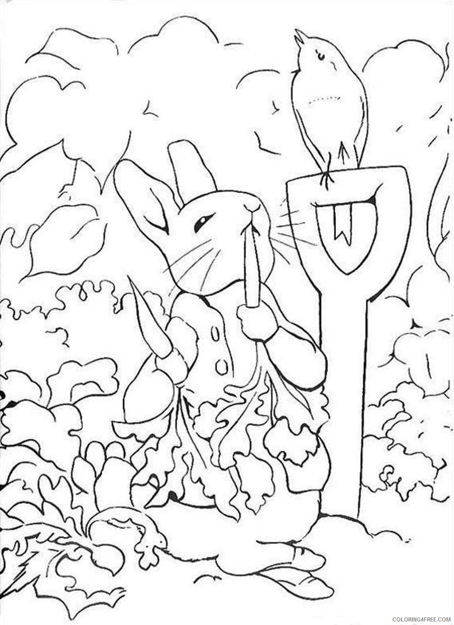 rabbit coloring pages in vegetable garden Coloring4free