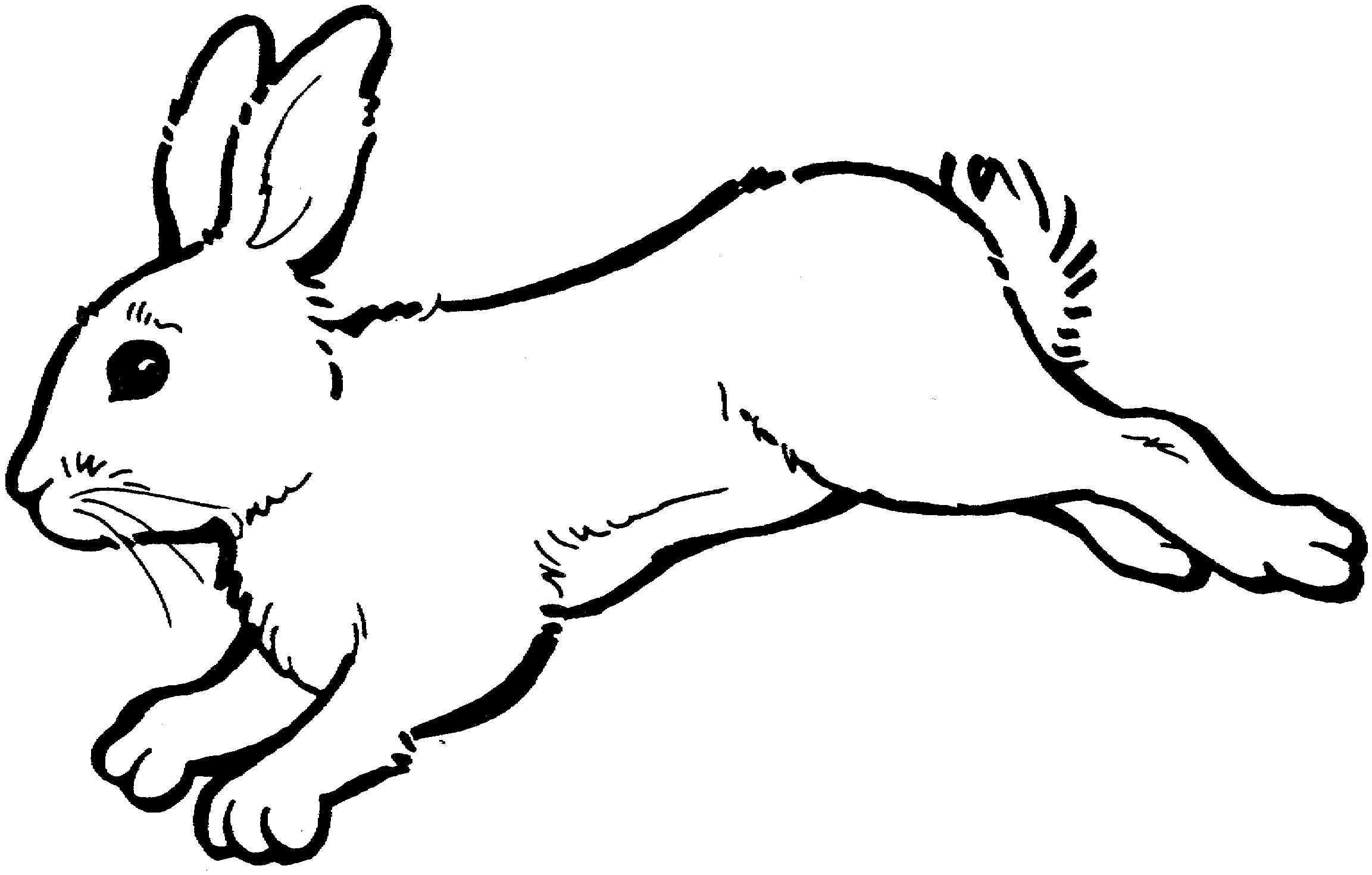 rabbit coloring pages jumping Coloring4free