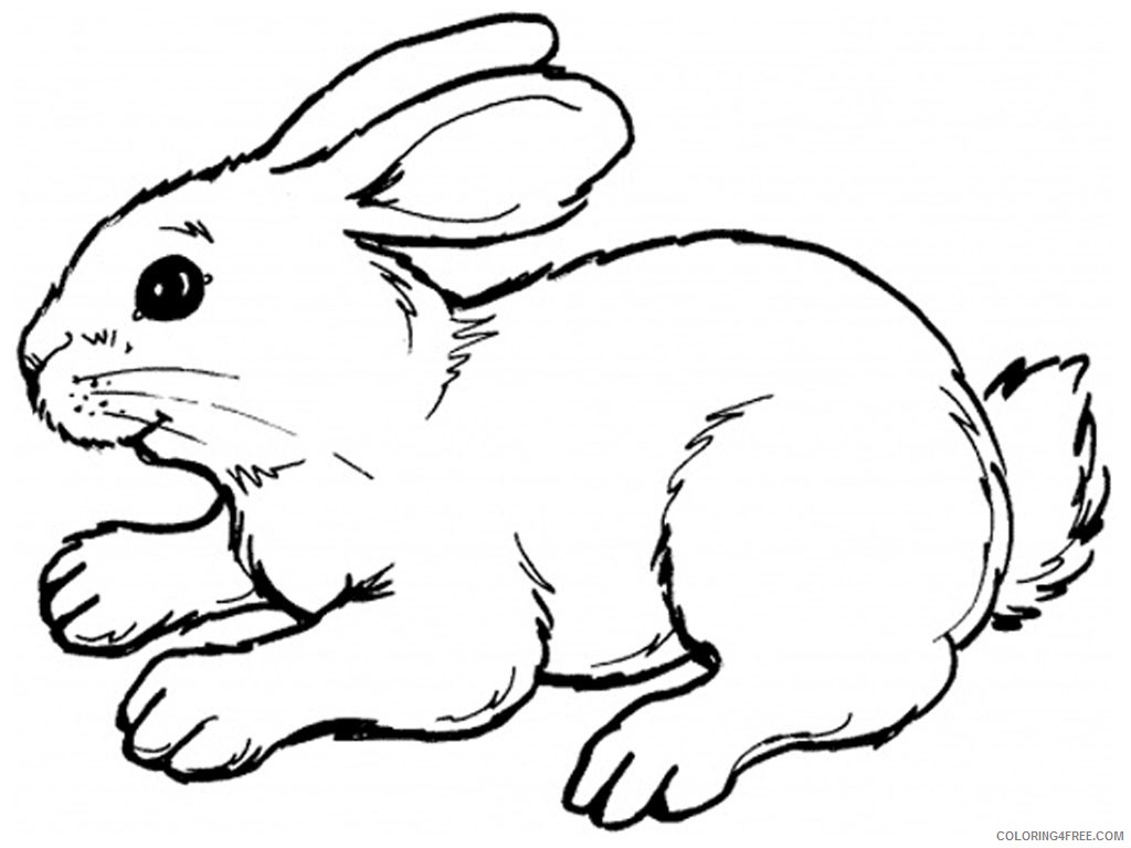rabbit coloring pages printable Coloring4free