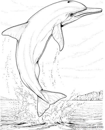 realistic dolphin coloring pages jumping out of water Coloring4free