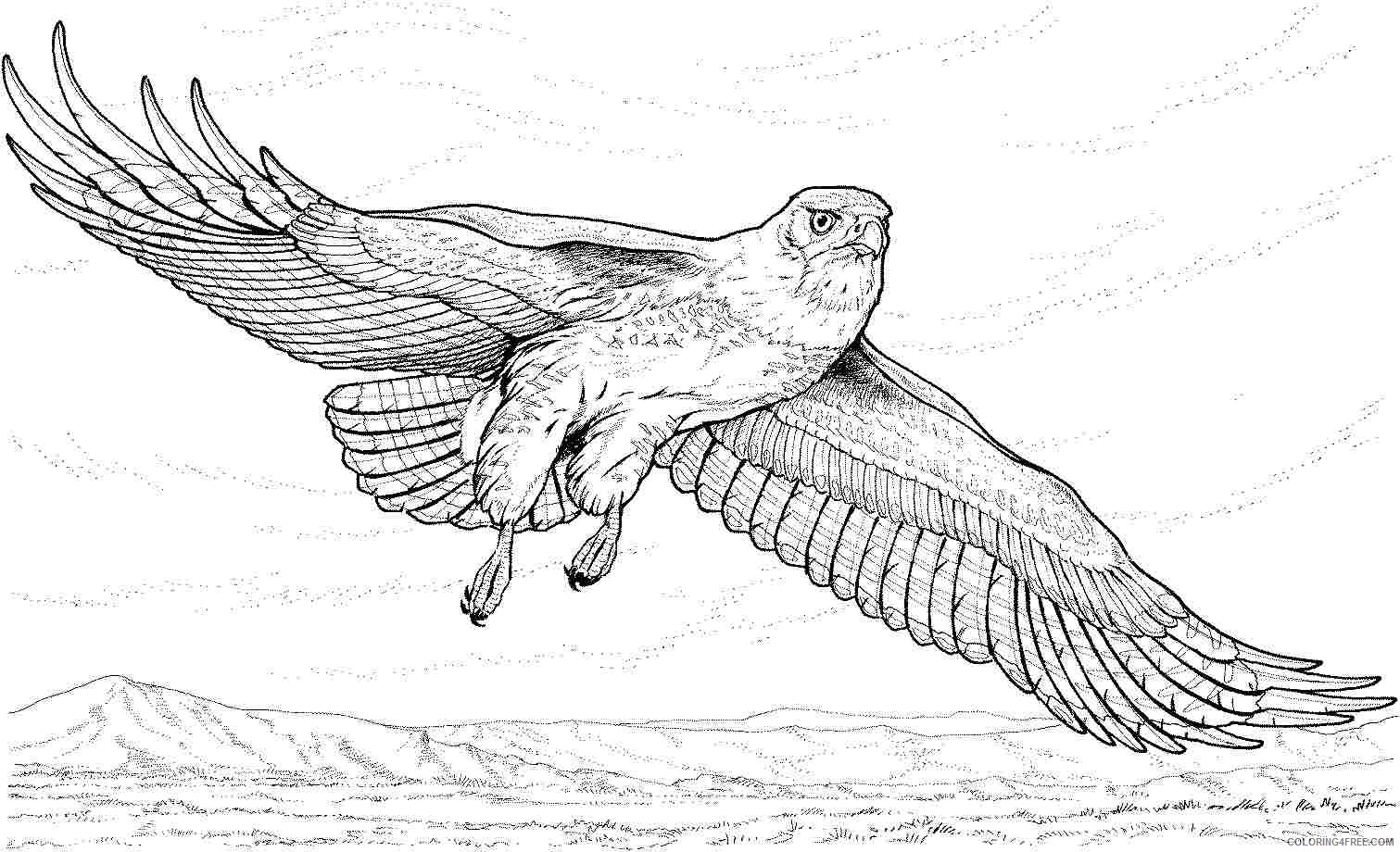 realistic eagle coloring pages flying Coloring4free