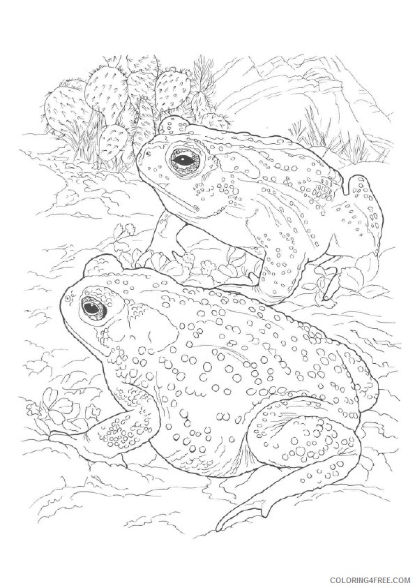 realistic frog coloring pages for adults Coloring4free