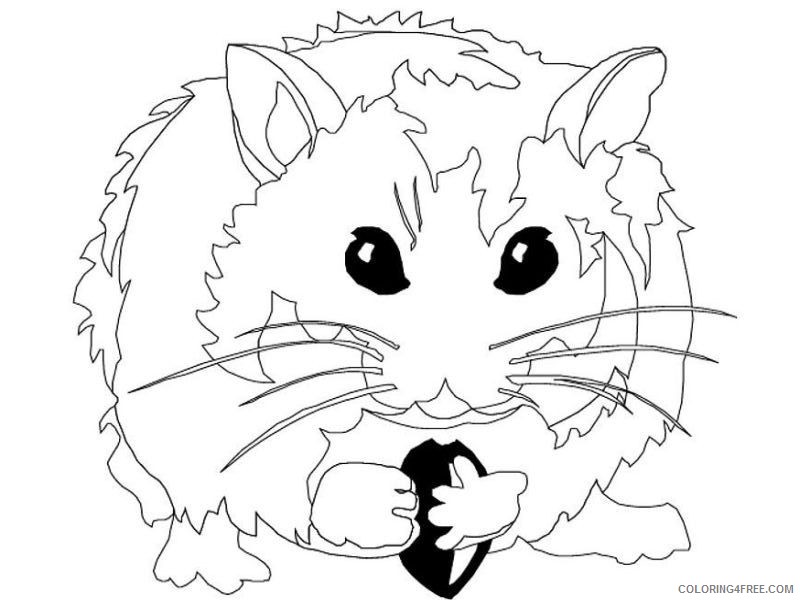 realistic hamster coloring pages Coloring4free