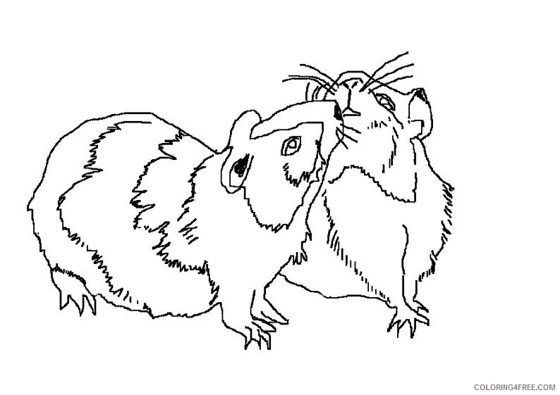 realistic hamster coloring pages couple Coloring4free