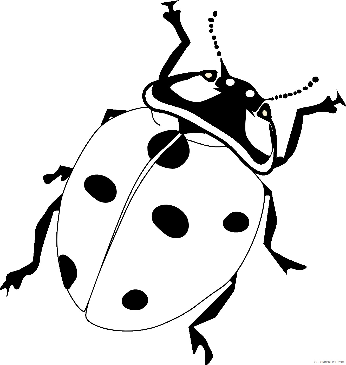 realistic ladybug coloring pages Coloring4free