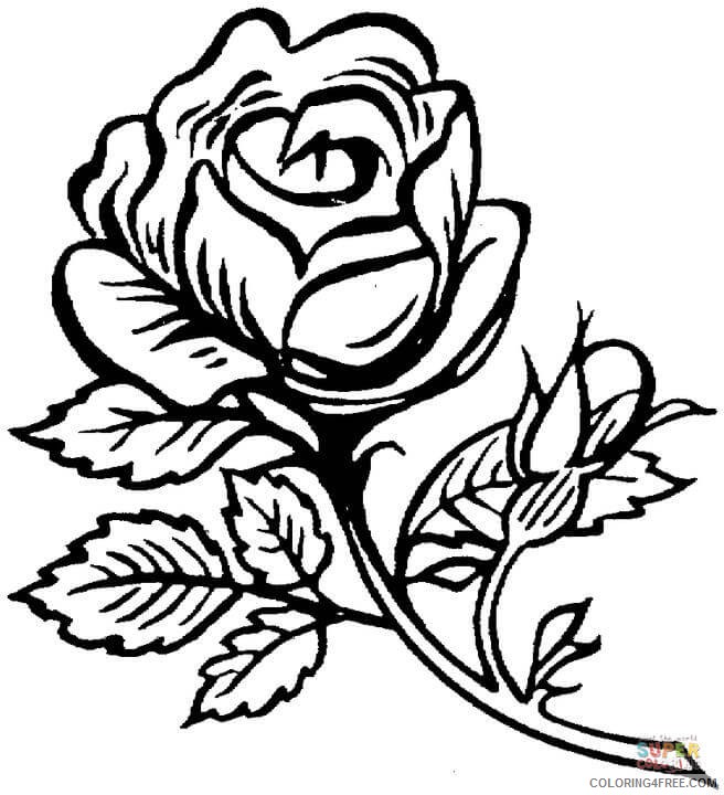rose coloring pages beautiful flower Coloring4free