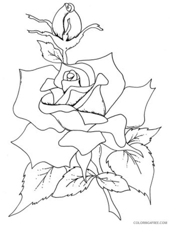 rose coloring pages for adults Coloring4free