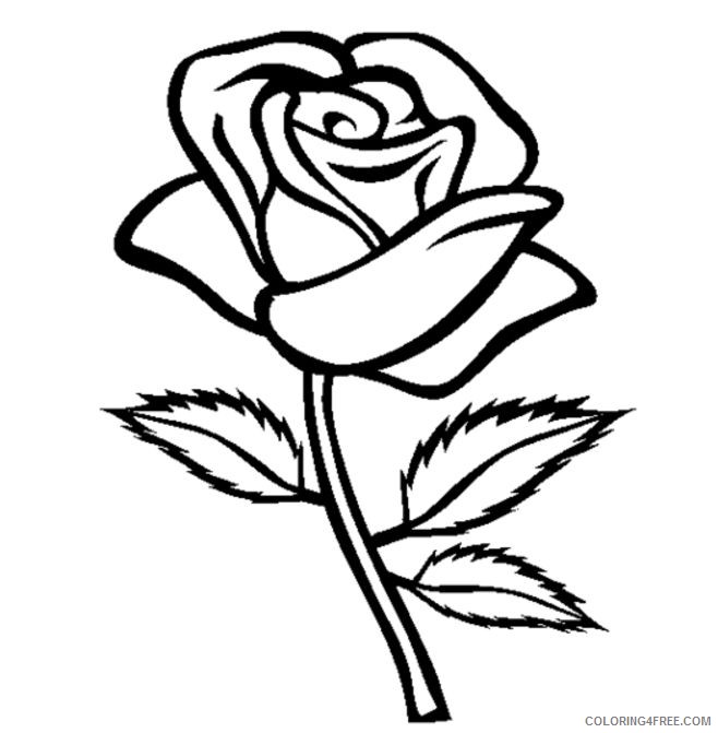 rose coloring pages for kids Coloring4free