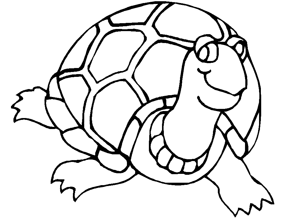 sea turtle coloring pages for toddler Coloring4free