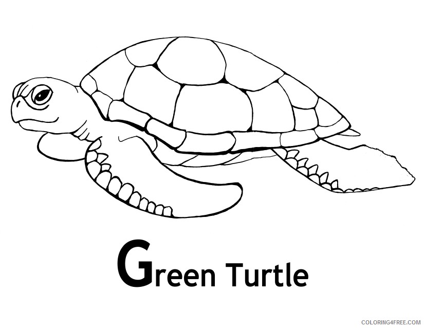 sea turtle coloring pages green turtle Coloring4free