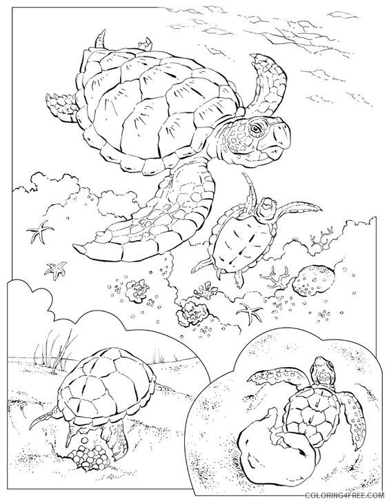 sea turtle coloring pages underwater life Coloring4free