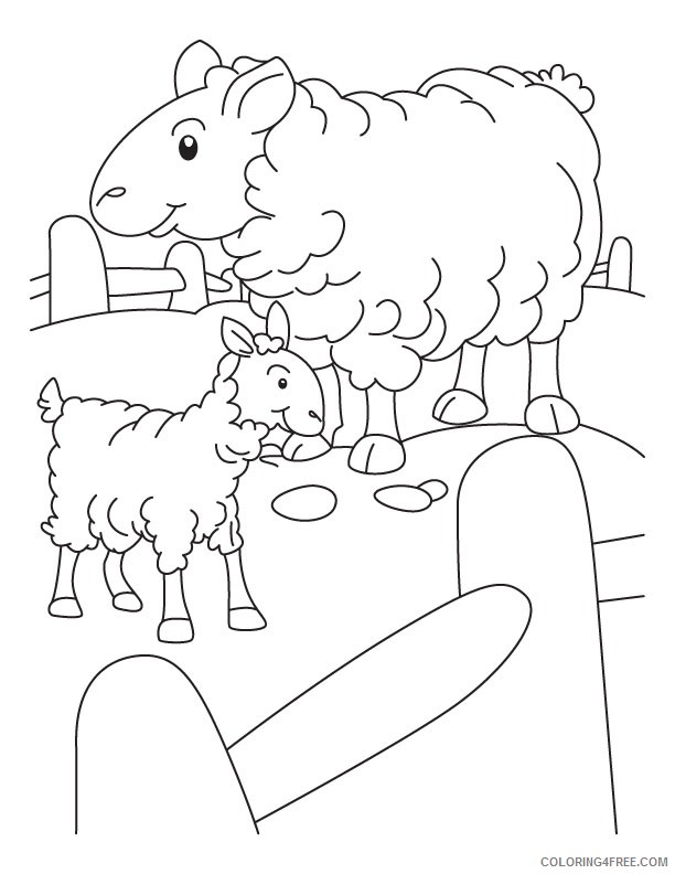 sheep coloring pages for kindergarten Coloring4free