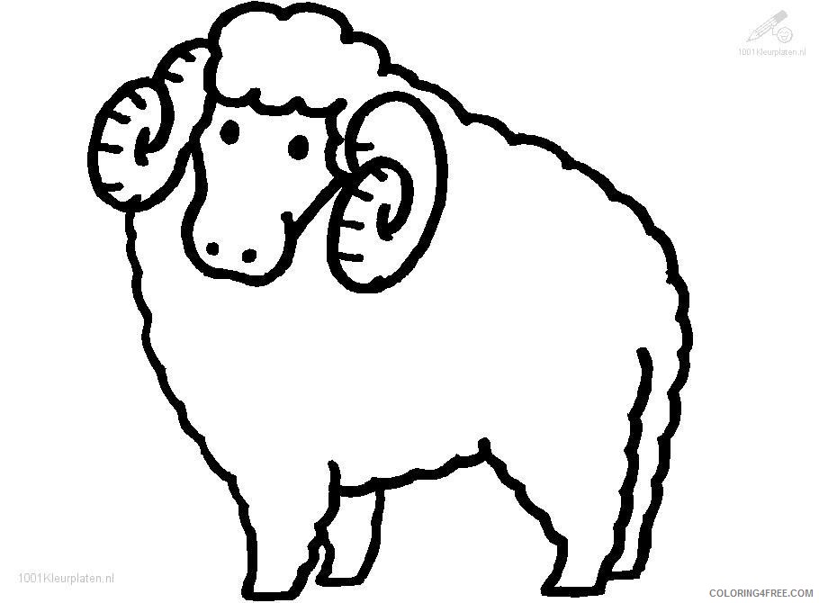 sheep coloring pages with horns Coloring4free