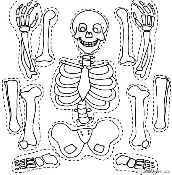 skeleton coloring pages anatomy Coloring4free