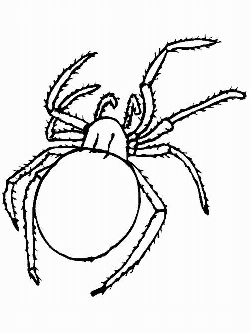 spider insect coloring pages Coloring4free