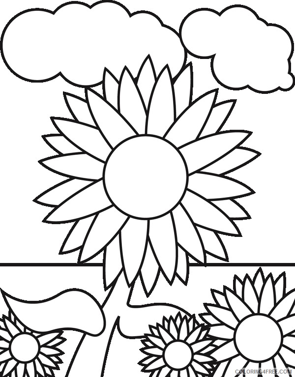 sunflower coloring pages for kids Coloring4free