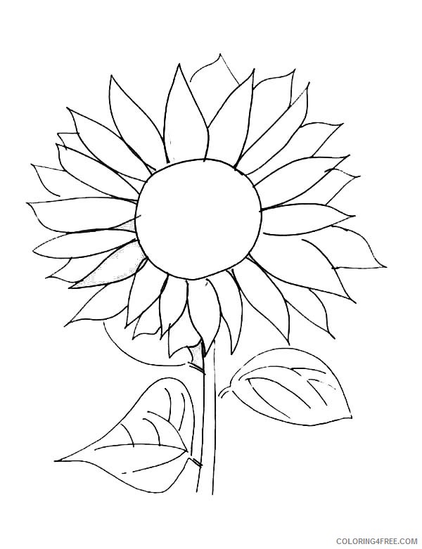 sunflower coloring pages free printable Coloring4free