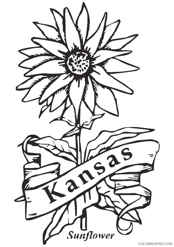 sunflower coloring pages kansas city Coloring4free