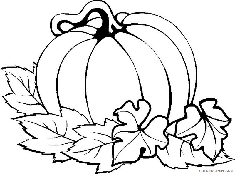 thanksgiving coloring pages pumpkin Coloring4free