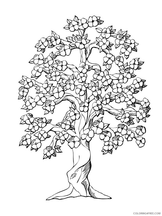 tree coloring pages for adults Coloring4free