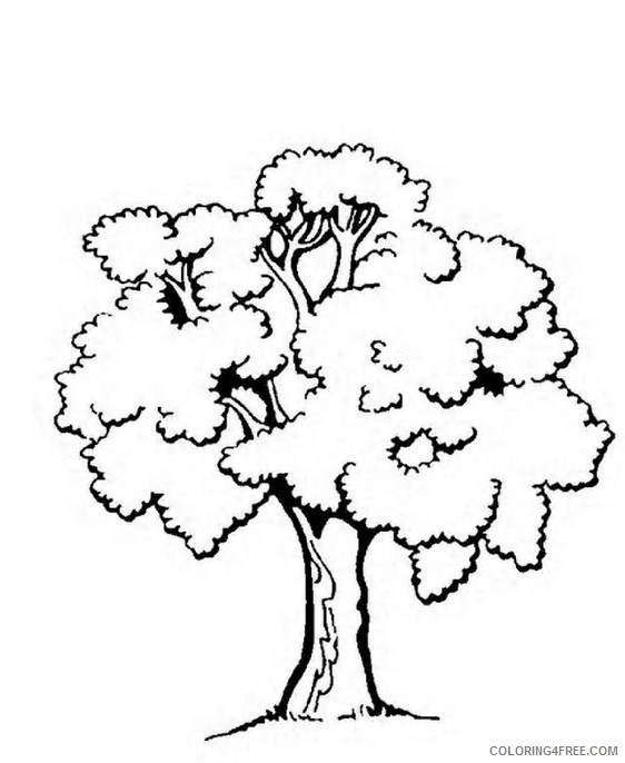 tree coloring pages free printable Coloring4free
