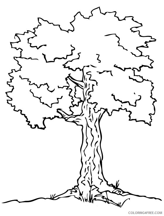 tree coloring pages free to print Coloring4free