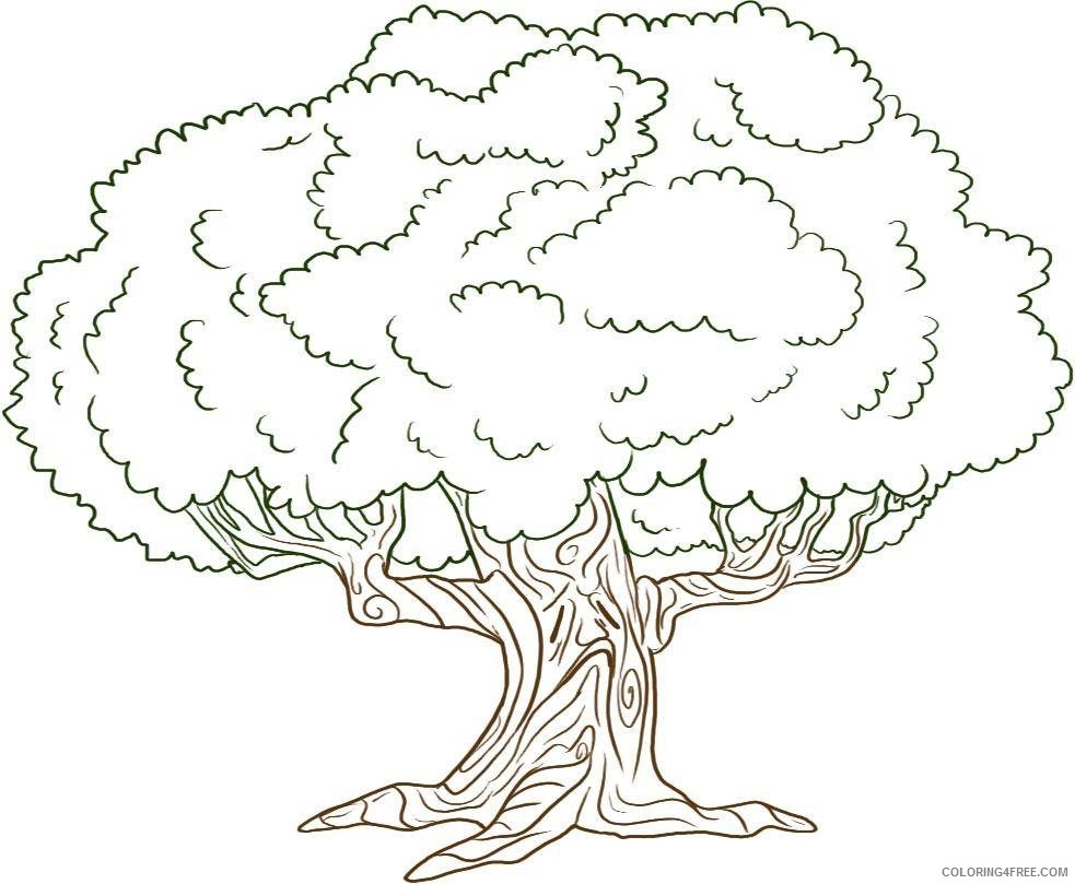 tree coloring pages printable Coloring4free