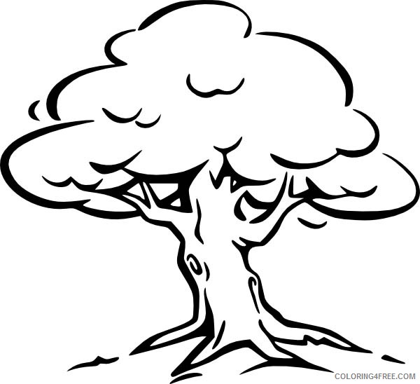 tree coloring pages printable for kids Coloring4free
