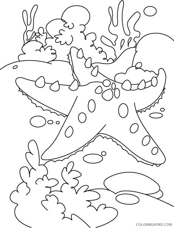 under the sea coloring pages starfish Coloring4free