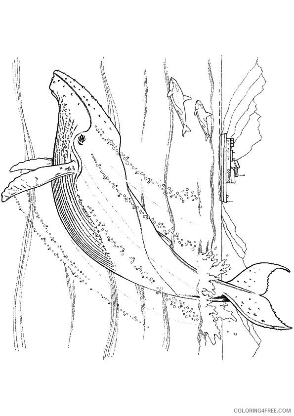 under the sea coloring pages whale Coloring4free