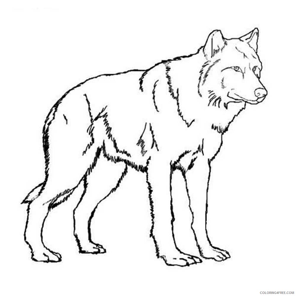 wolf coloring pages free to print Coloring4free