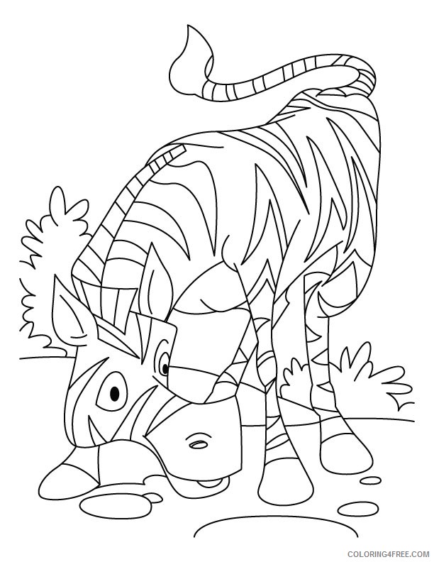 zebra coloring pages for kindergarten Coloring4free