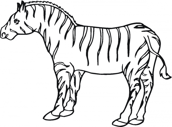 zebra coloring pages free to print Coloring4free