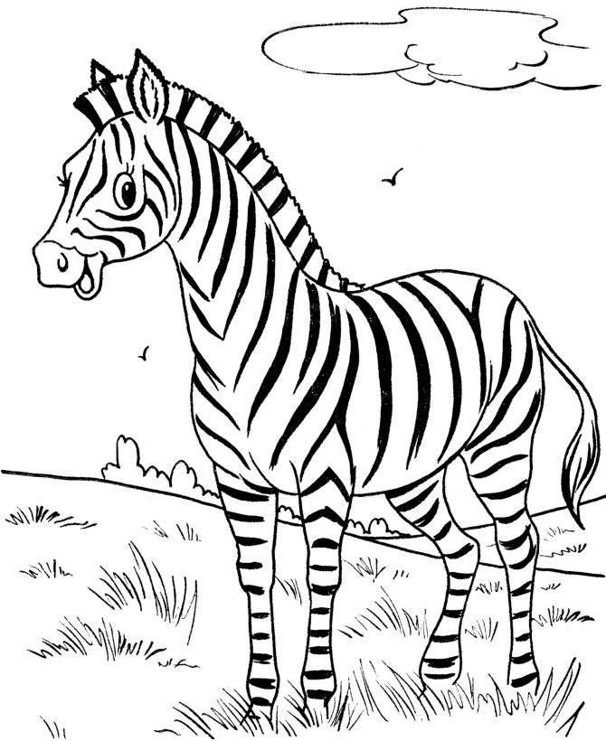 zebra coloring pages in savanna Coloring4free