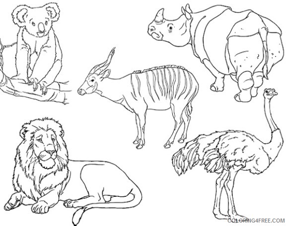 zoo animal coloring pages printable Coloring4free