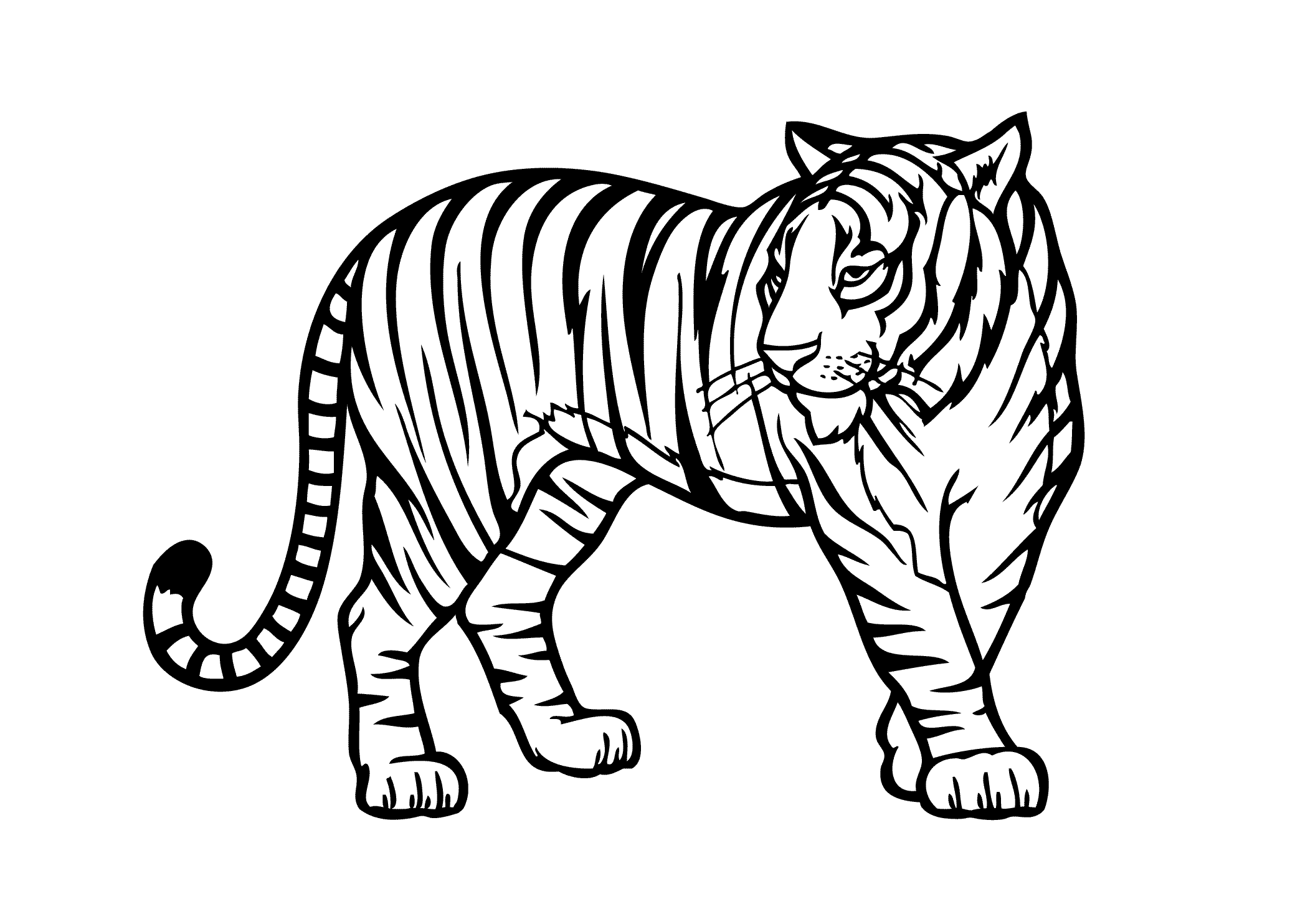 zoo animal coloring pages tiger printable Coloring4free