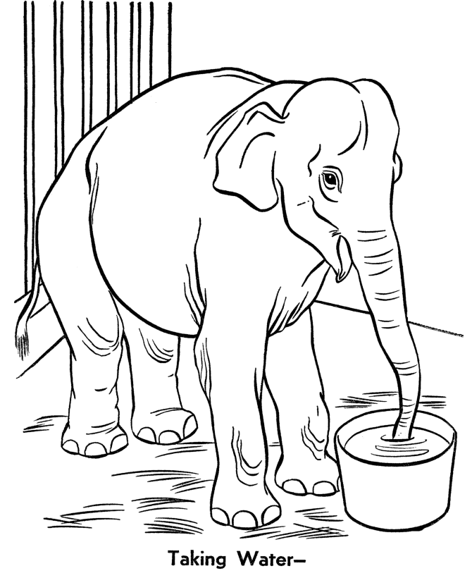zoo coloring pages elephant in cage Coloring4free