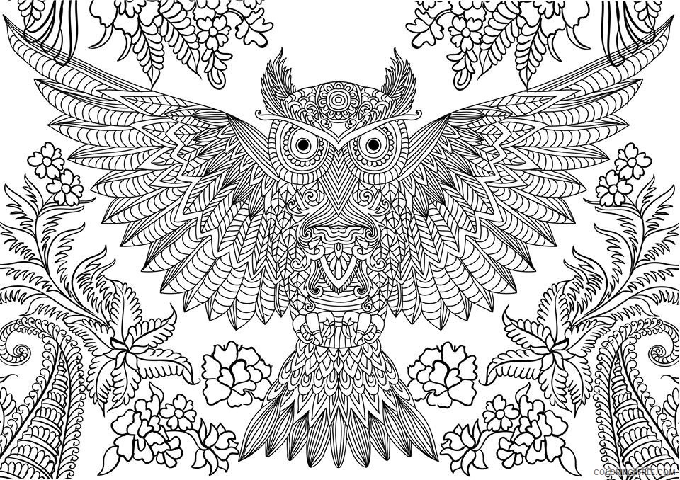 abstract owl coloring pages for adults Coloring4free