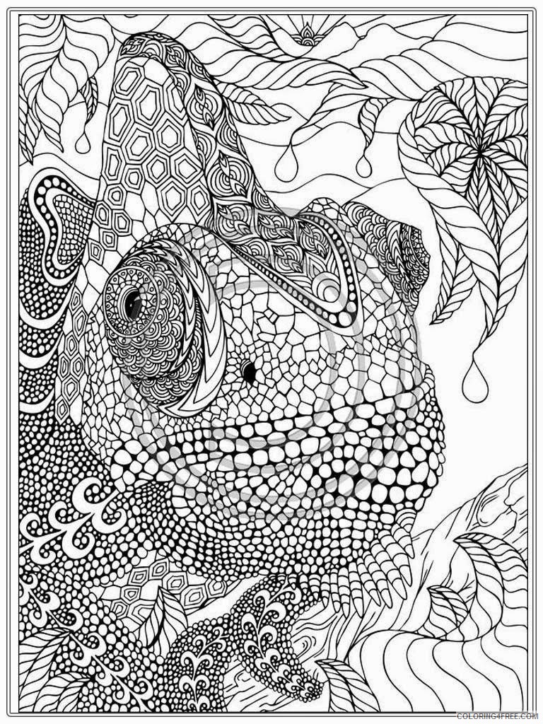 advanced coloring pages chameleon Coloring4free