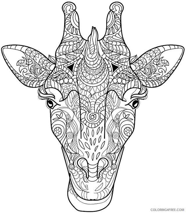 advanced coloring pages giraffe head Coloring4free