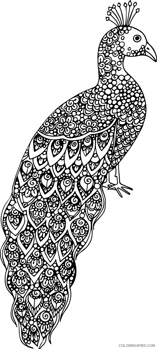 advanced coloring pages peacock Coloring4free