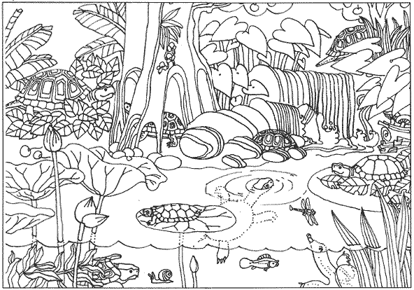amazon rainforest coloring pages brazil Coloring4free