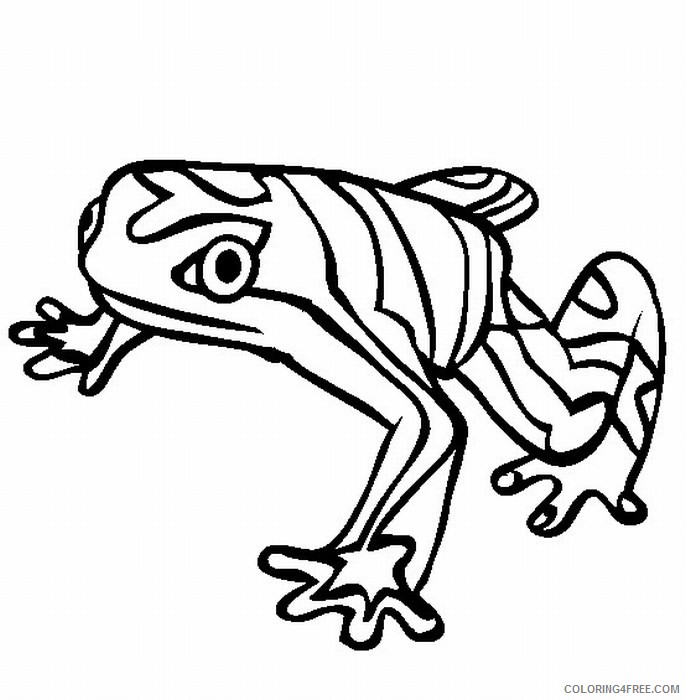 amazon rainforest coloring pages frog Coloring4free