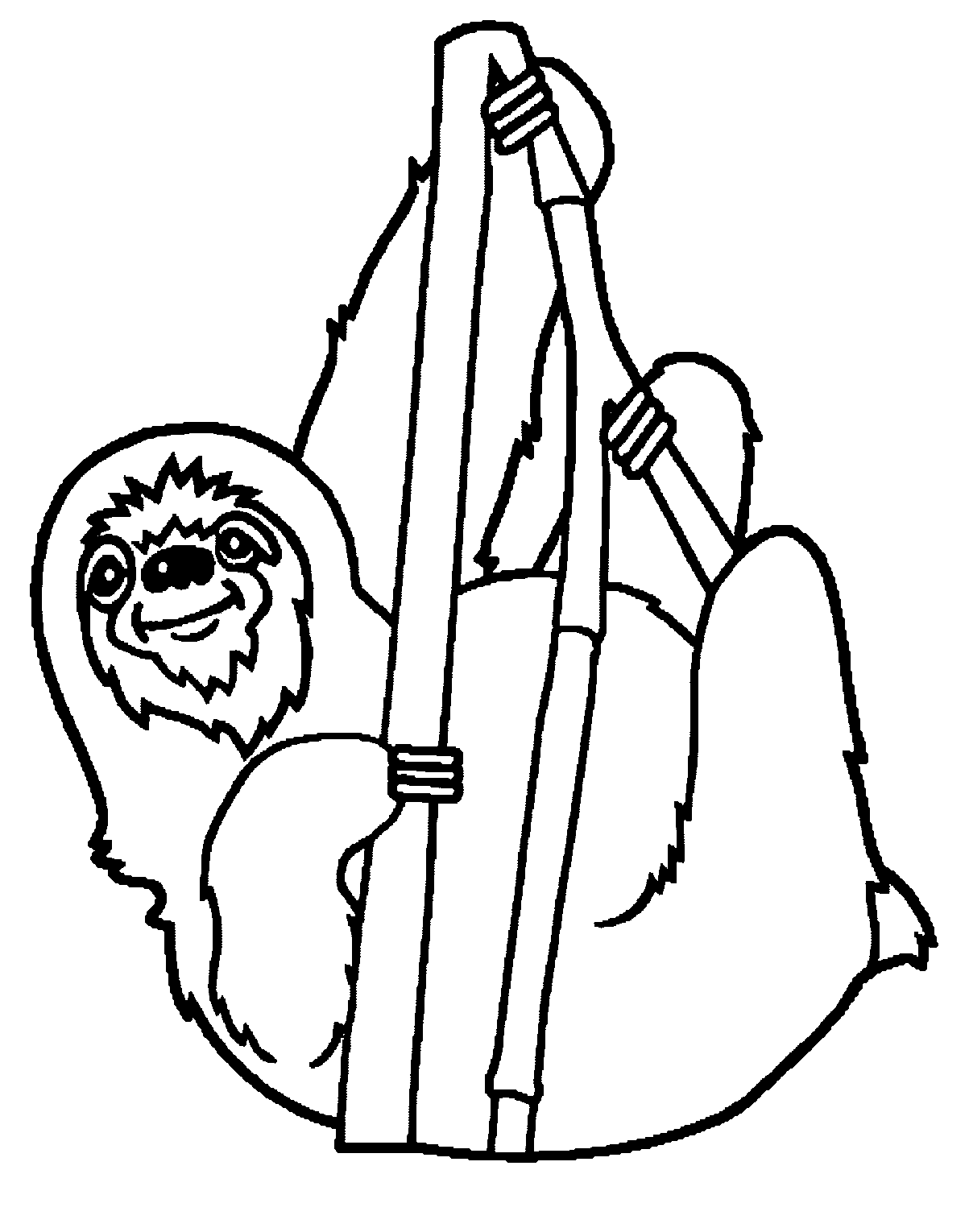 amazon rainforest coloring pages sloth Coloring4free