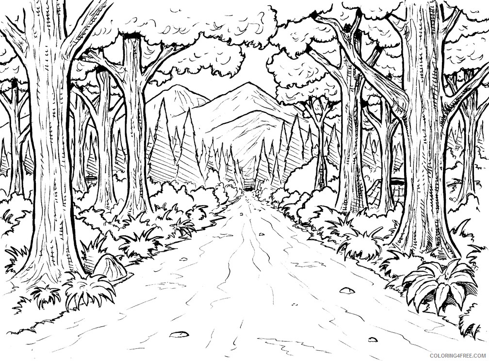 amazon rainforest coloring pages to print Coloring4free