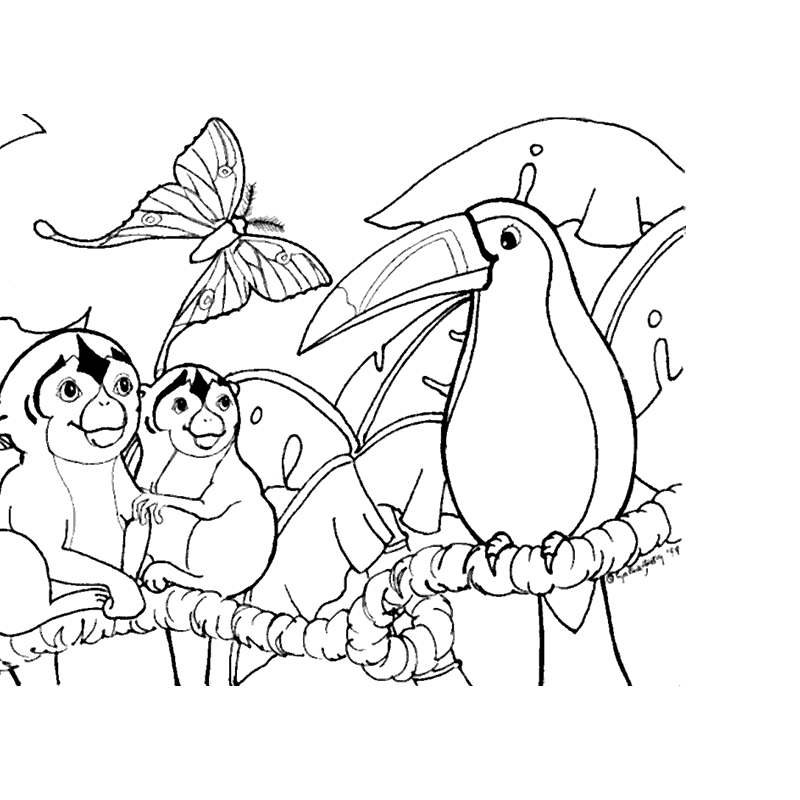 animals of amazon rainforest coloring pages Coloring4free