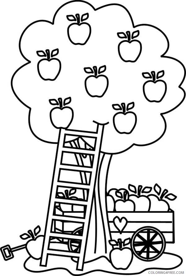 apple coloring pages apple harvest Coloring4free